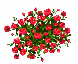 Red Rose Bush PNG Clipart Image | Gallery Yopriceville - High ...