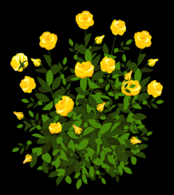 Upload Stars - Yellow Rose Bush PNG Clipart Picture(2)