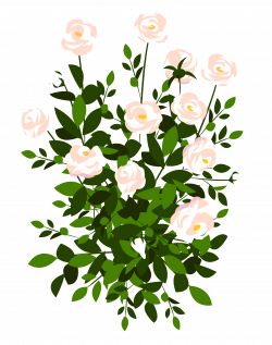 Whte Rose Bush PNG Clipart Picture | Gallery Yopriceville - High ...