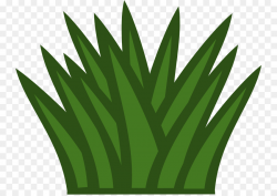 Shrub Free content Clip art - Green Bush Cliparts png download - 800 ...