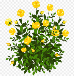 yellow rose bush png clipart picture clipart flowers ...