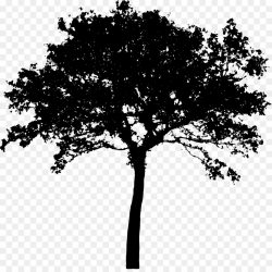 Silhouette Tree Clip art - Bush png download - 1280*1266 - Free ...