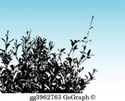 Clipart - Silhouette of the bush of the strawberry . Stock ...