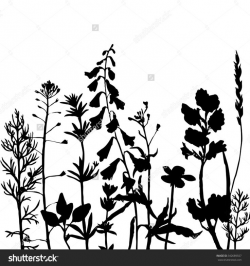 25 best PLANT AND GRASS SILHOUETTES images on Pinterest ...
