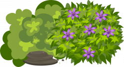 Bush PNG Transparent Free Images | PNG Only