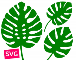 Cuttable and printable Monstera leaf SVG file. PDF clipart template ...