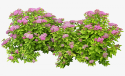 Bushes PNG Images, Download 424 PNG Resources with Transparent ...
