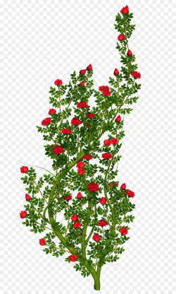Floral Ornament Rose Clip art - bushes png download - 1800*3000 ...