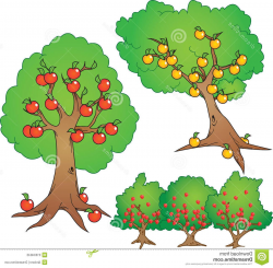 Best 15 Bush Clipart Tree Pictures - Vector Art Library