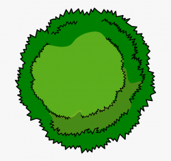 Bushes Clipart Tree Top - Tree Birds Eye View Clipart ...