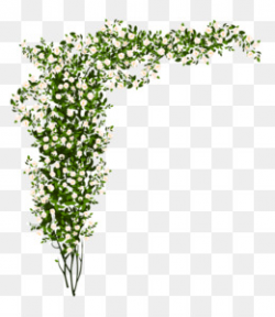 Shrub Tree Clip art - flower bush png download - 800*776 - Free ...