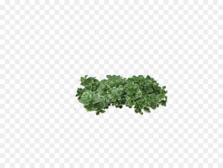 Tree Shrub Clip art - Green bush png download - 946*709 - Free ...