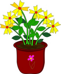 Daisies Clipart Image - Yellow daisy flowers in a pot - House Plants