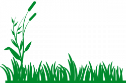 Grass clipart bush grass - Pencil and in color grass clipart bush grass
