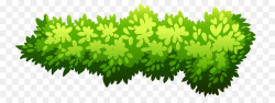 Shrub Illustration - Green bush png download - 800*321 - Free ...