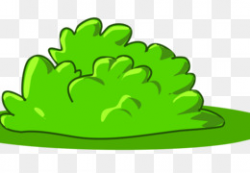 Shrub Illustration - Creative green bush png download - 1000*1000 ...
