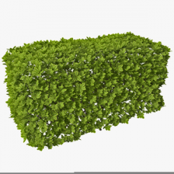 Bushes And Shrubs Clipart | Free Images at Clker.com - vector clip ...