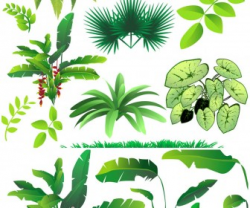 Free Jungle Plants Cliparts, Download Free Clip Art, Free ...
