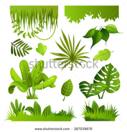 Jungle Plants Drawing at GetDrawings.com | Free for personal use ...