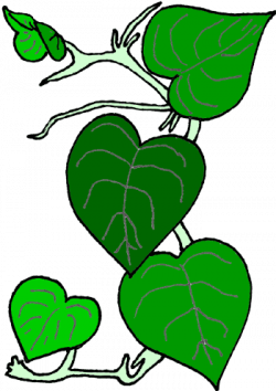 A Perfect World - Plants Clip Art