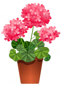 188 best CLIP ART - POTTED PLANTS - CLIP ART images on Pinterest ...