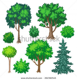Shrub Clipart Bush Tree#3905058