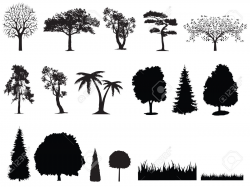 23350505-silhouette-of-tree-grass-Stock-Vector-cypress-tree-shrub ...