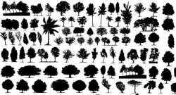 vector trees, vector silhouettes, tree vectors, bushes, grass ...