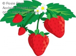 Plants Clipart strawberry - Free Clipart on Dumielauxepices.net