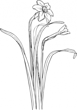 Flower Plant Stem Bush clip art Free vector in Open office drawing ...