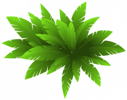 Green Plant Decoration PNG Clipart Image | flower clip arts ...