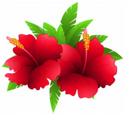 Exotic Flowers and Plant PNG Clipart Image | Gallery Yopriceville ...