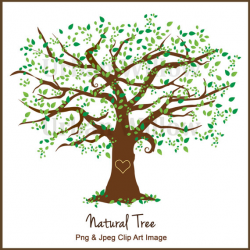 Beautiful Tree Clipart Design, Family Tree, Clipart Tall Tree ...