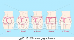 EPS Illustration - Different butt shape. Vector Clipart ...