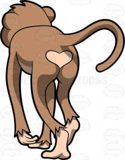 A Cute Monkey With A Heart Shaped Behind | Vector clipart, Monkey ...