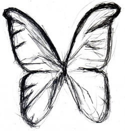 Butter Fly Sketch - personalbeauty.info | personalbeauty.info