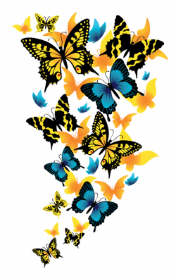 Butterflies Clipart Picture | Gallery Yopriceville - High-Quality ...