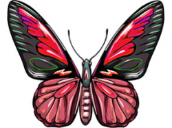 Free Animated Butterfly Clipart - Butterfly Gifs - Graphics