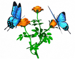 New butterfly habitat and nature trail opening on Saturday~ Families ...