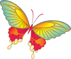 Cartoon Yellow Butterfly Clipart | Butterflies Art | Pinterest ...