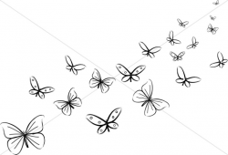 Bunch of Black and White Butterflies | Butterfly Clipart