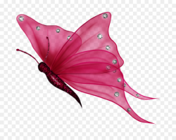 Butterfly Clip art - Flying Butterflies Transparent Background png ...