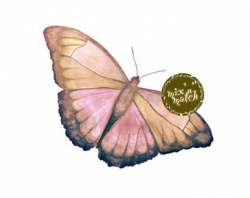 Vintage Watercolour Butterfly Clipart Digital Instant Download