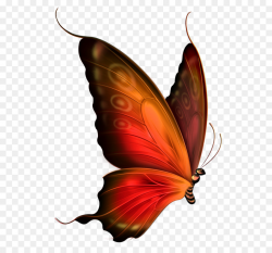 Butterfly Blue Clip art - Red and Brown Transparent Butterfly ...