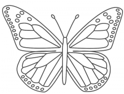 Monarch Butterfly Template Printable | flogfolioweekly.com
