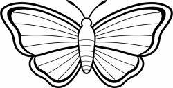 Simple Butterfly Drawing at GetDrawings.com | Free for personal use ...
