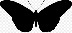 Silhouette Butterfly Clip art - Fairy Silhouette png download - 2400 ...