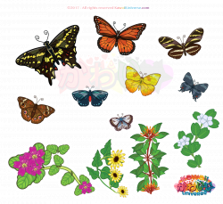 Kawaii Florida Butterflies Animation by KawaiiUniverseStudio on ...