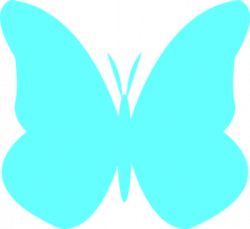 Aqua Butterfly Clipart