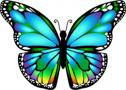 753 best stained glass butterflies, dragonfly, bees images on ...